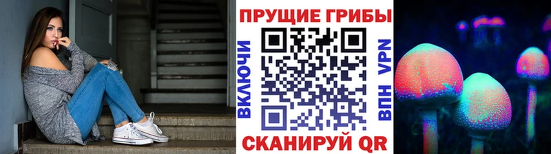 Псилоцибиновые грибы мухоморы  Купить где  Раменское 